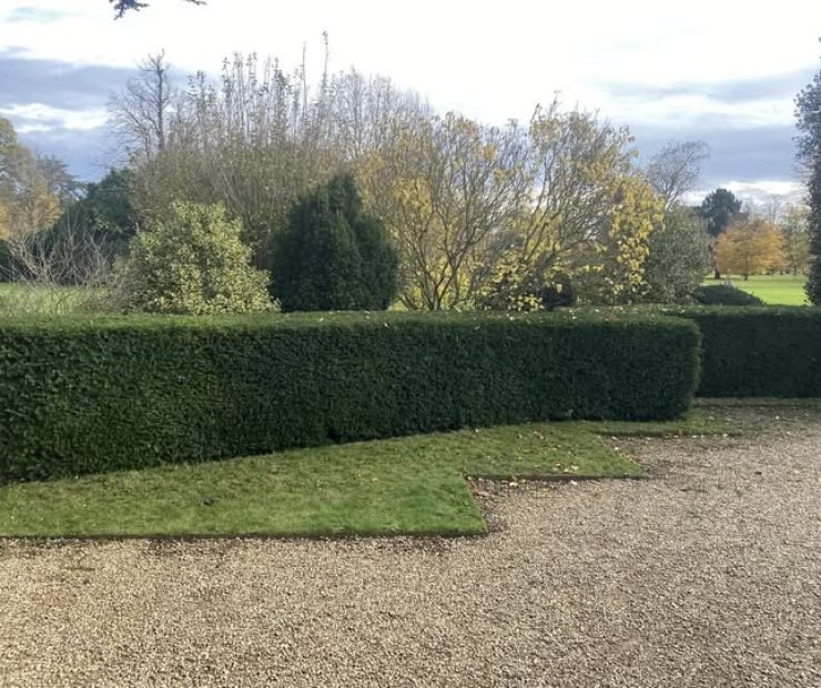 586152322_122105424369117851_3322748362508044020_n