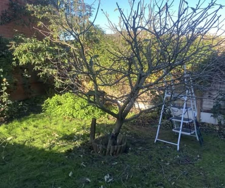 592747035_122108803005117851_9171816938772564085_n