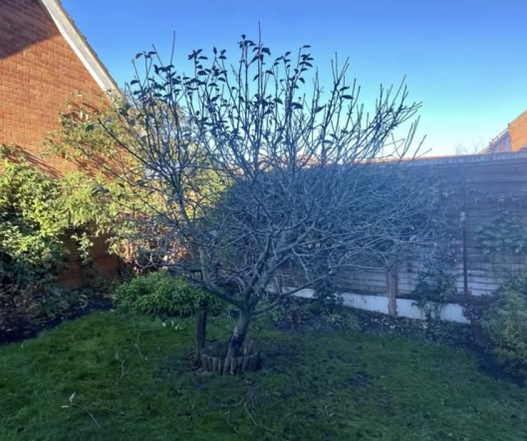 592756432_122108802993117851_7971345860589142789_n