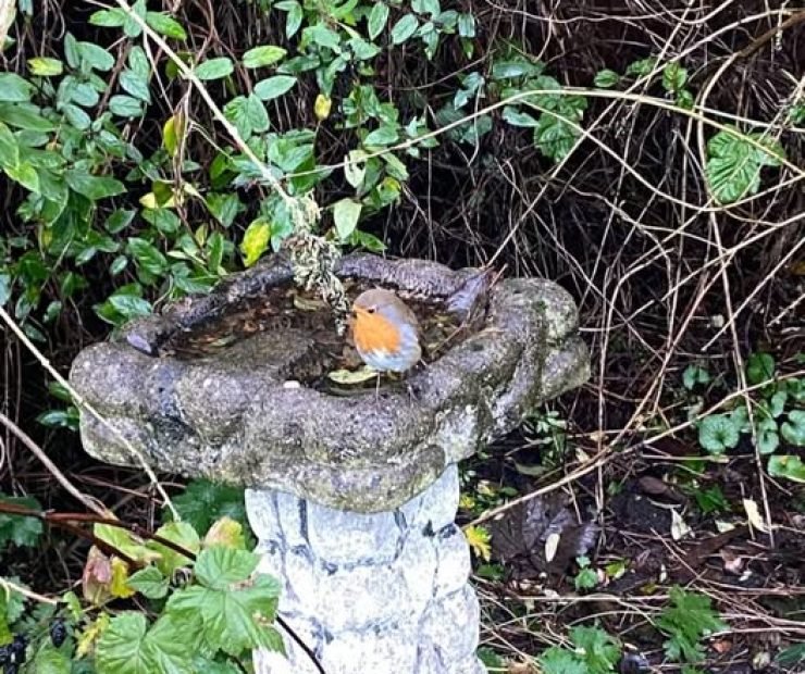 600216708_122112659145117851_3059714883961257732_n